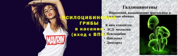 2c-b Гусь-Хрустальный