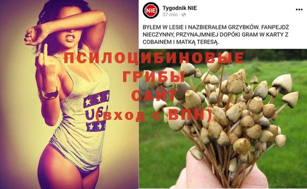 амфетамин Гусев